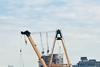 Bell 206 New York Helicopter crash